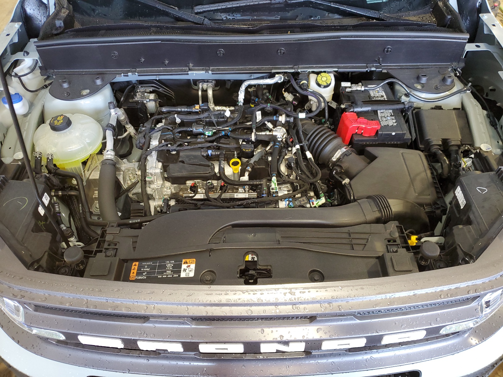 3FMCR9B62RRE08906 2024 Ford Bronco Sport Big Bend