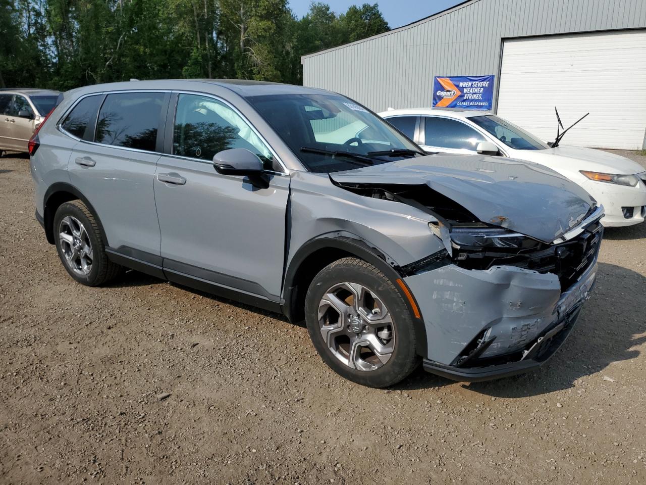 2HKRS4H79PH117275 HONDA CRV 2023