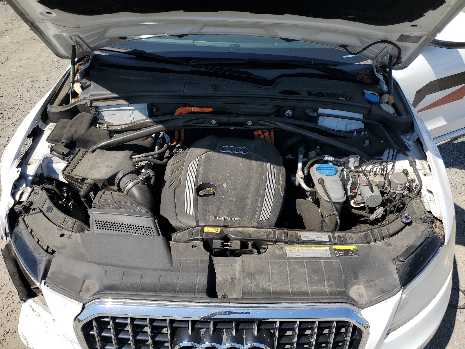 WA1C8AFP3DA008314 2013 Audi Q5 Premium Hybrid