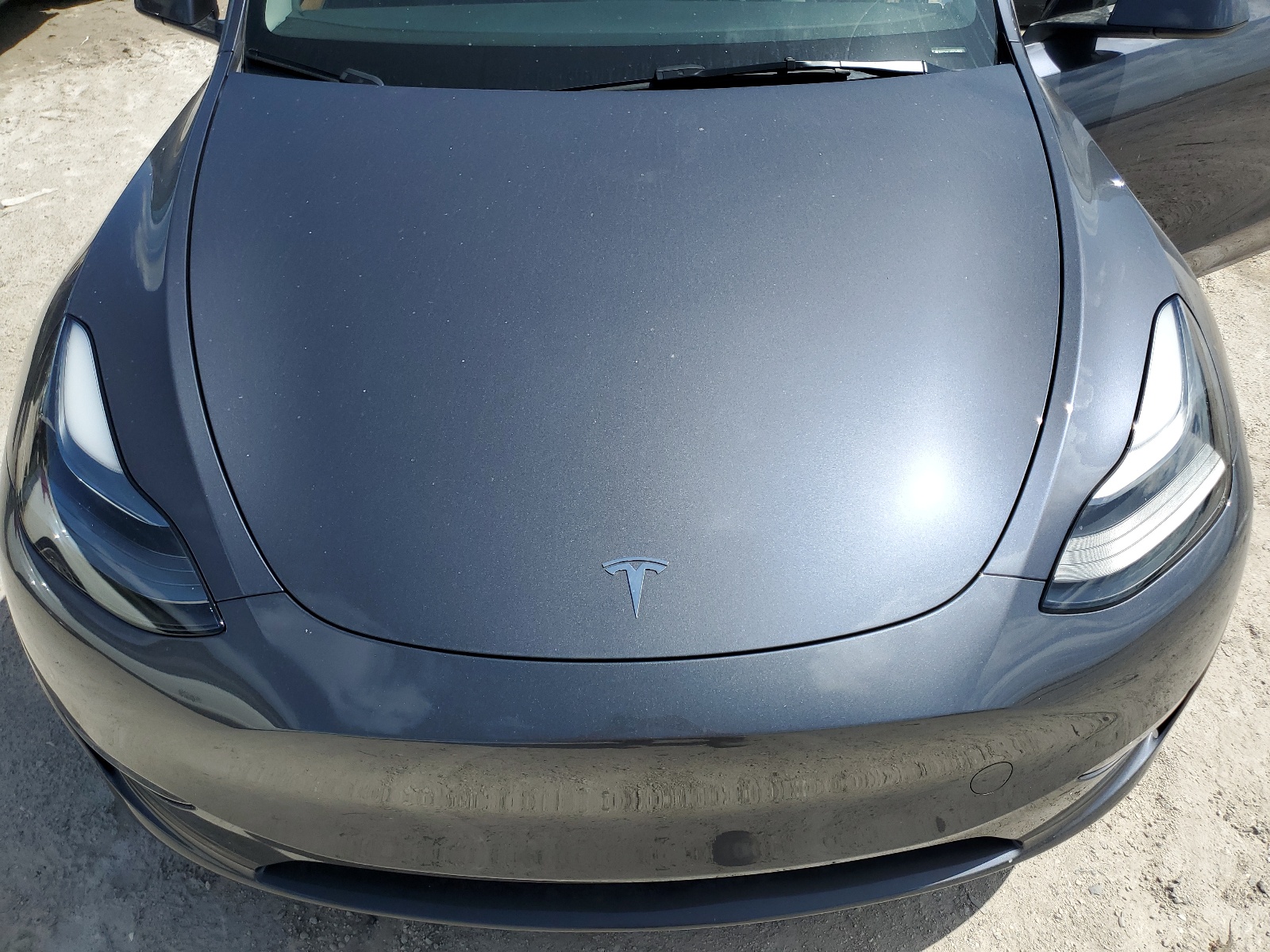 7SAYGDED3PF949123 2023 Tesla Model Y