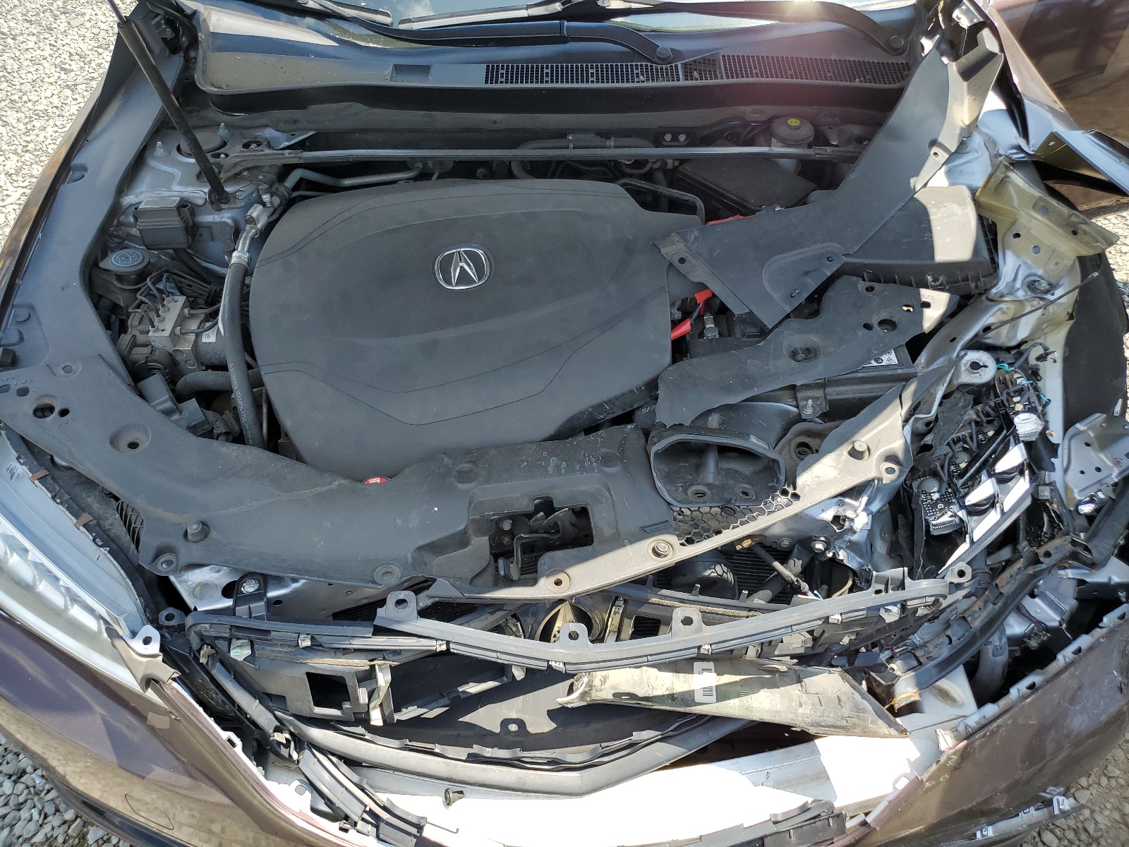 19UUB3F59GA002321 2016 Acura Tlx Tech