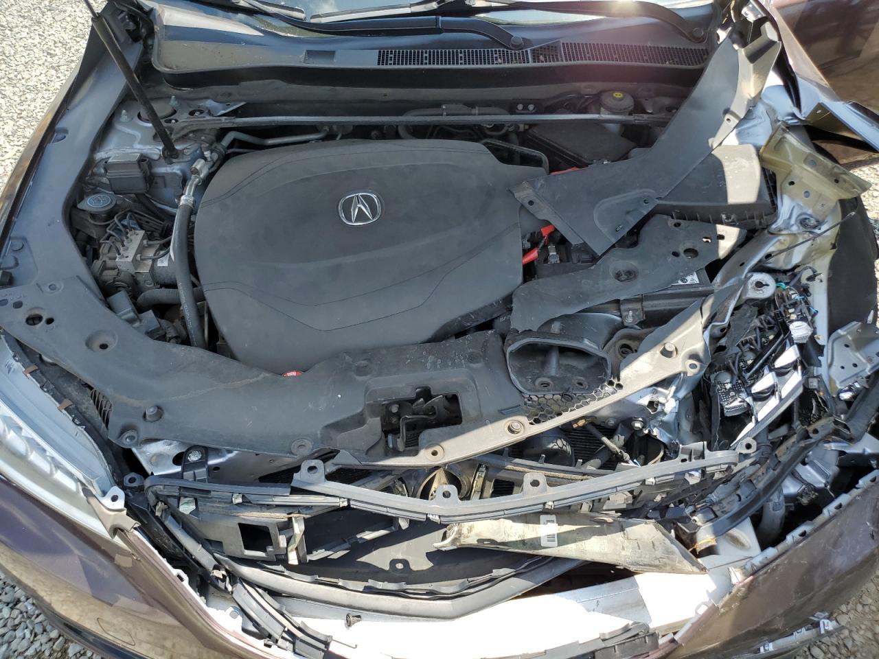 2016 Acura Tlx Tech VIN: 19UUB3F59GA002321 Lot: 62227974