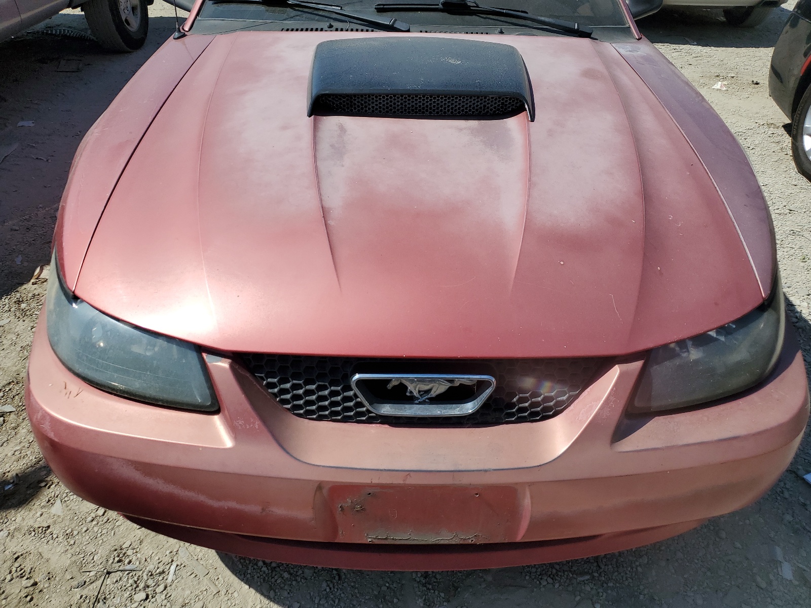 1FAFP44421F231206 2001 Ford Mustang