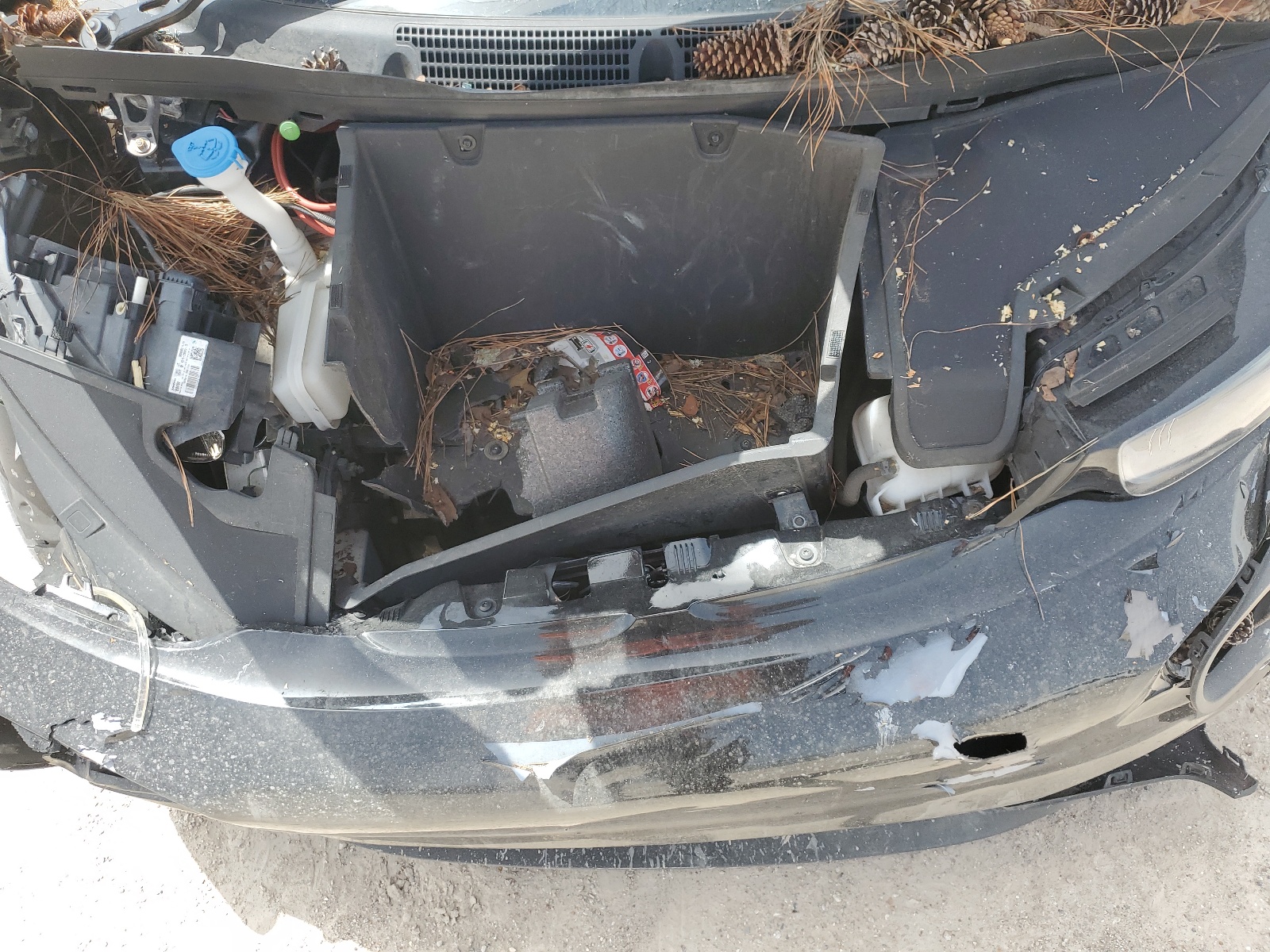 WBY1Z4C53GV508838 2016 BMW I3 Rex