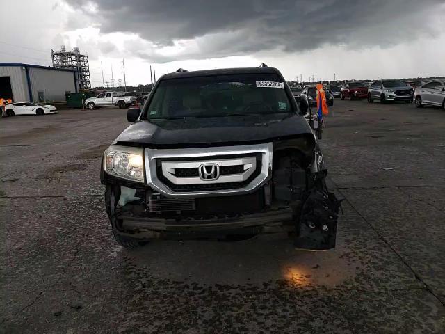 2009 Honda Pilot Exl VIN: 5FNYF38529B013236 Lot: 63352704