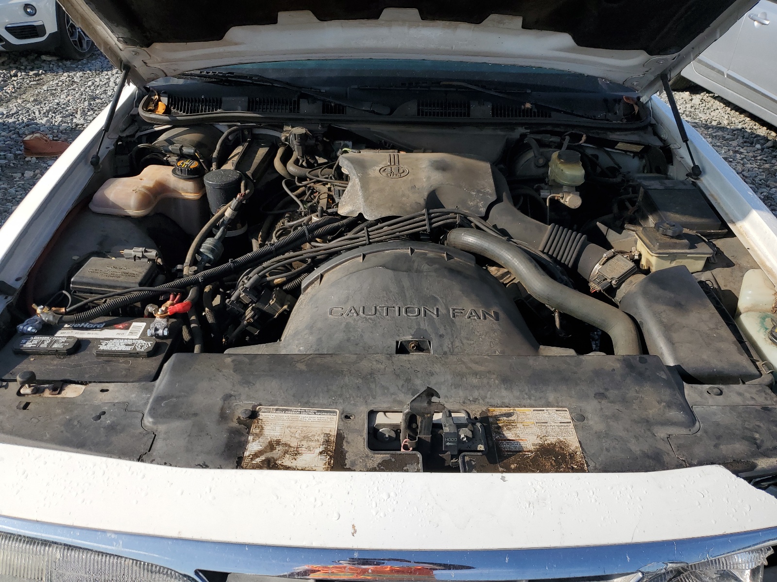 2FALP73W3TX166526 1996 Ford Crown Victoria