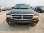 2003 DODGE DAKOTA QUAD SPORT for sale at Copart AB - EDMONTON