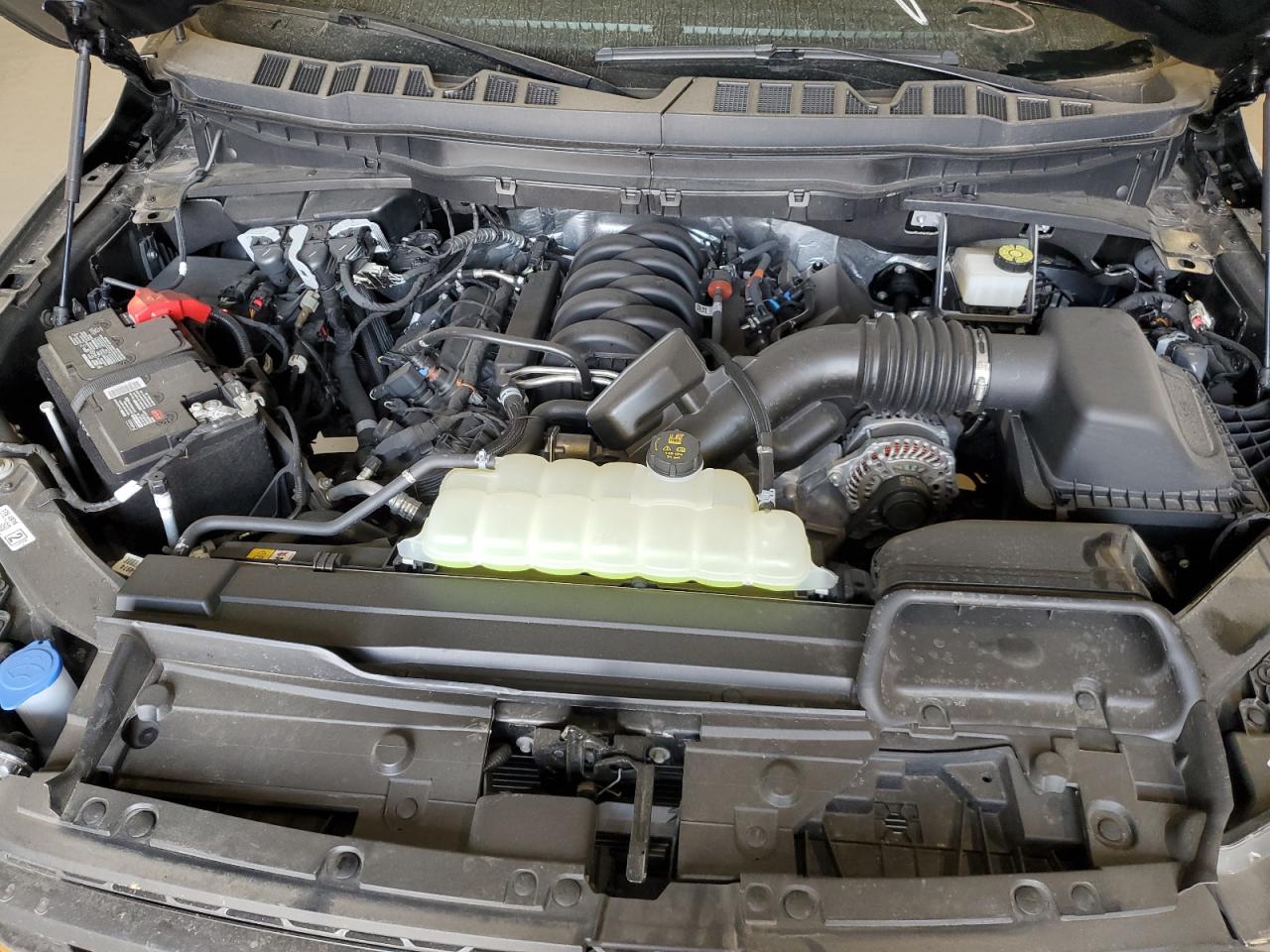 1FTFW1E56PFC10225 FORD F-150 2023