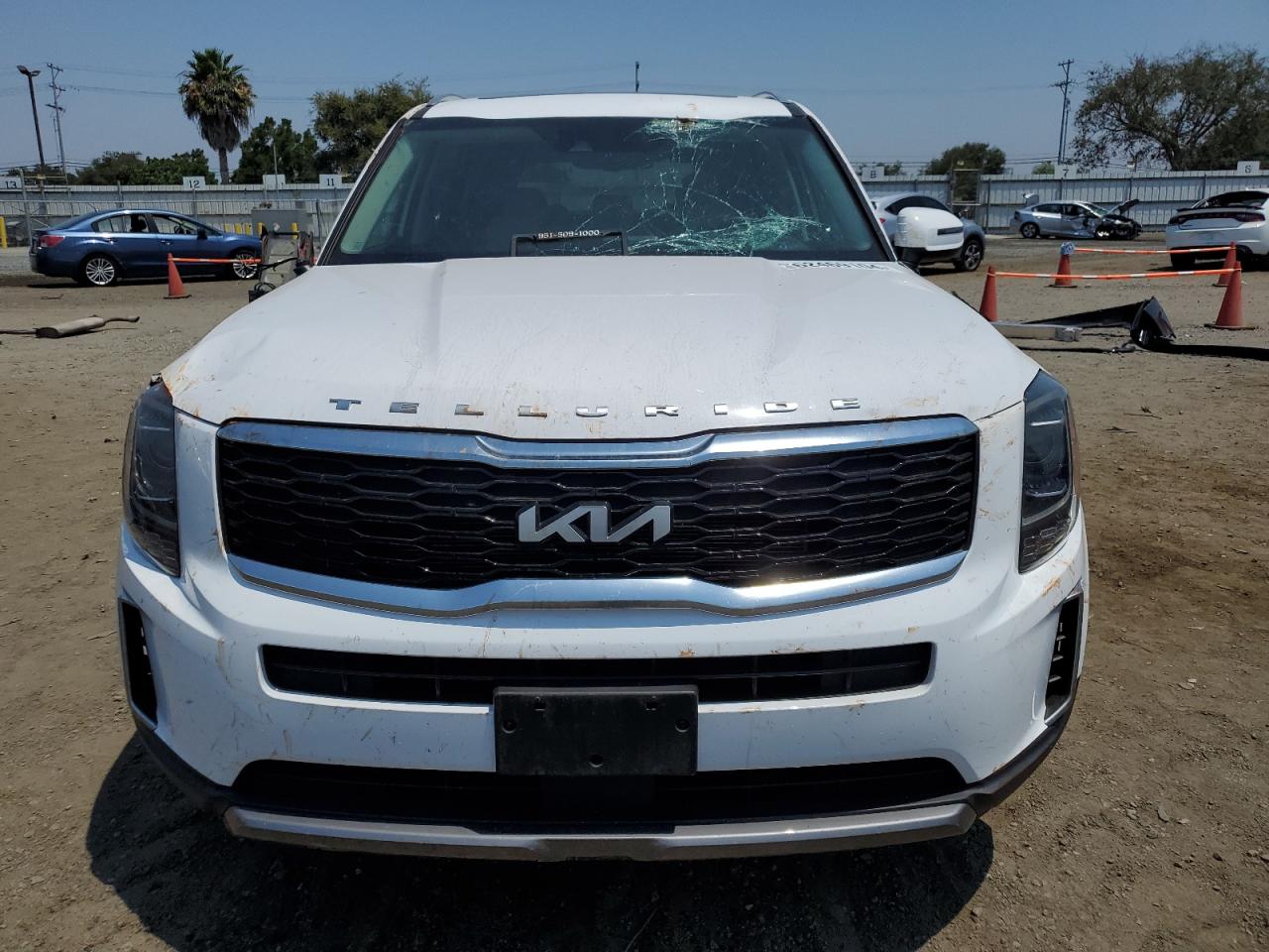 2022 Kia Telluride Ex VIN: 5XYP34HC0NG289409 Lot: 62469104