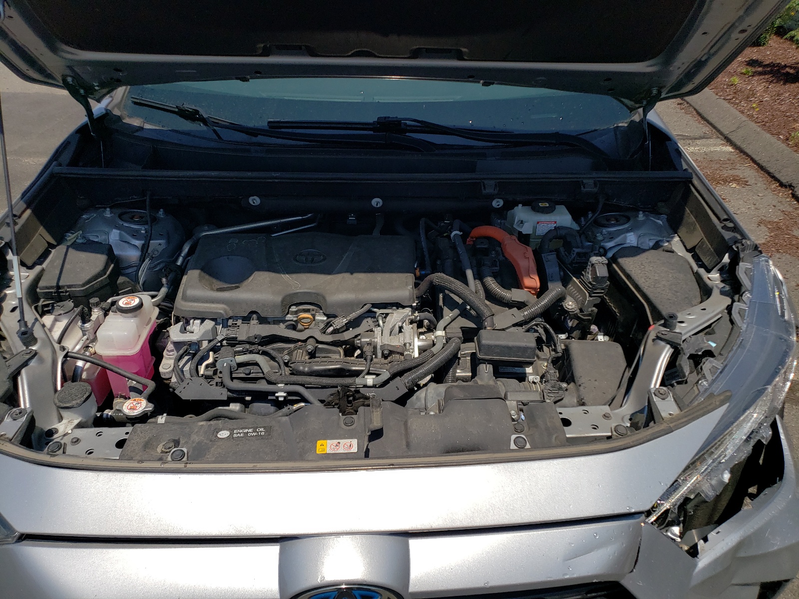 2T3R6RFV4LW001309 2020 Toyota Rav4 Xle