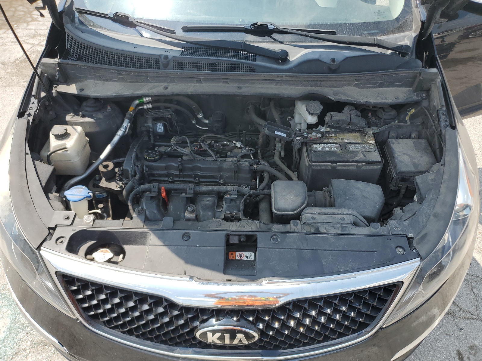 KNDPBCAC3F7725255 2015 Kia Sportage Lx