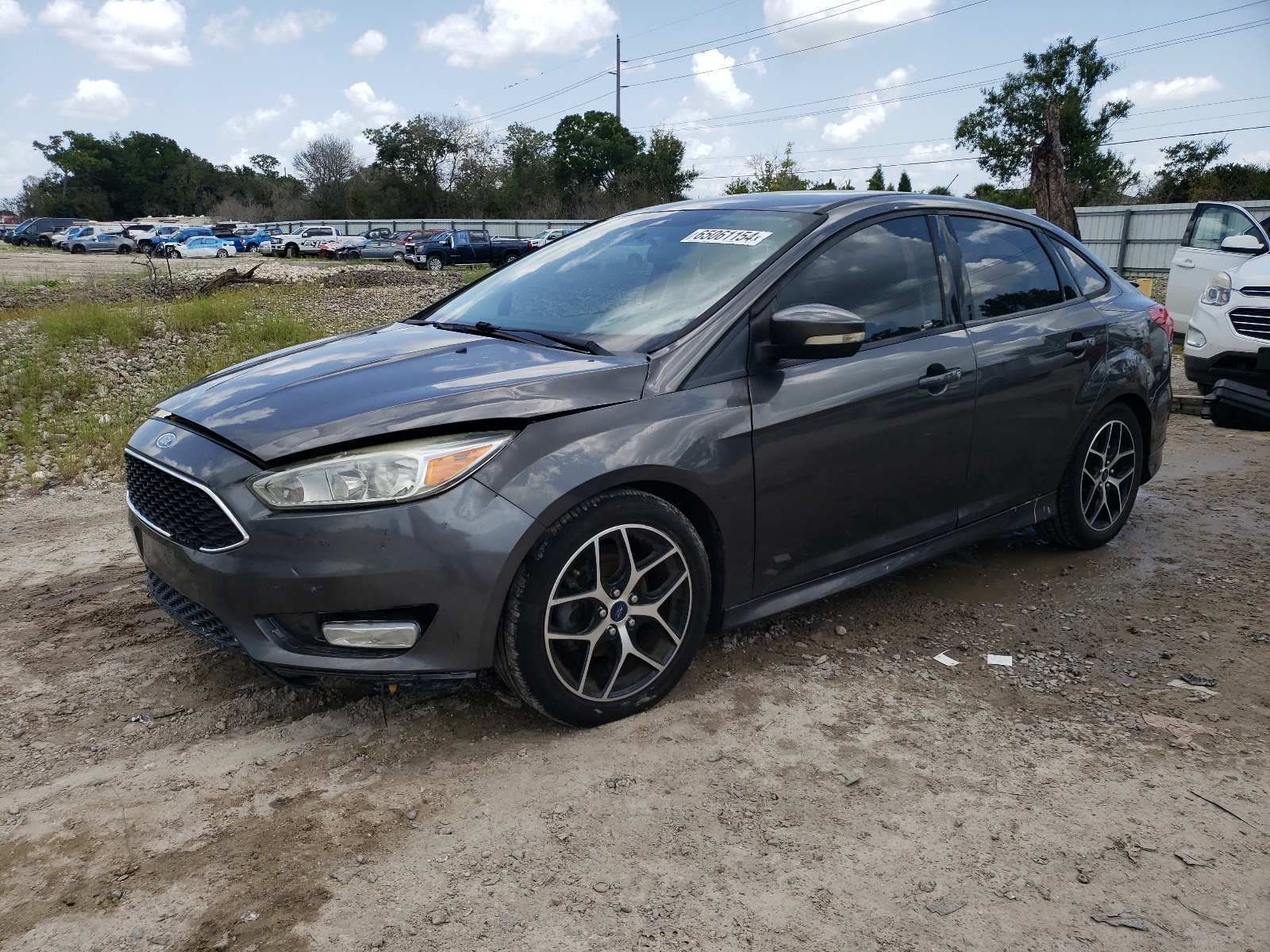 2015 Ford Focus Se vin: 1FADP3F23FL311765