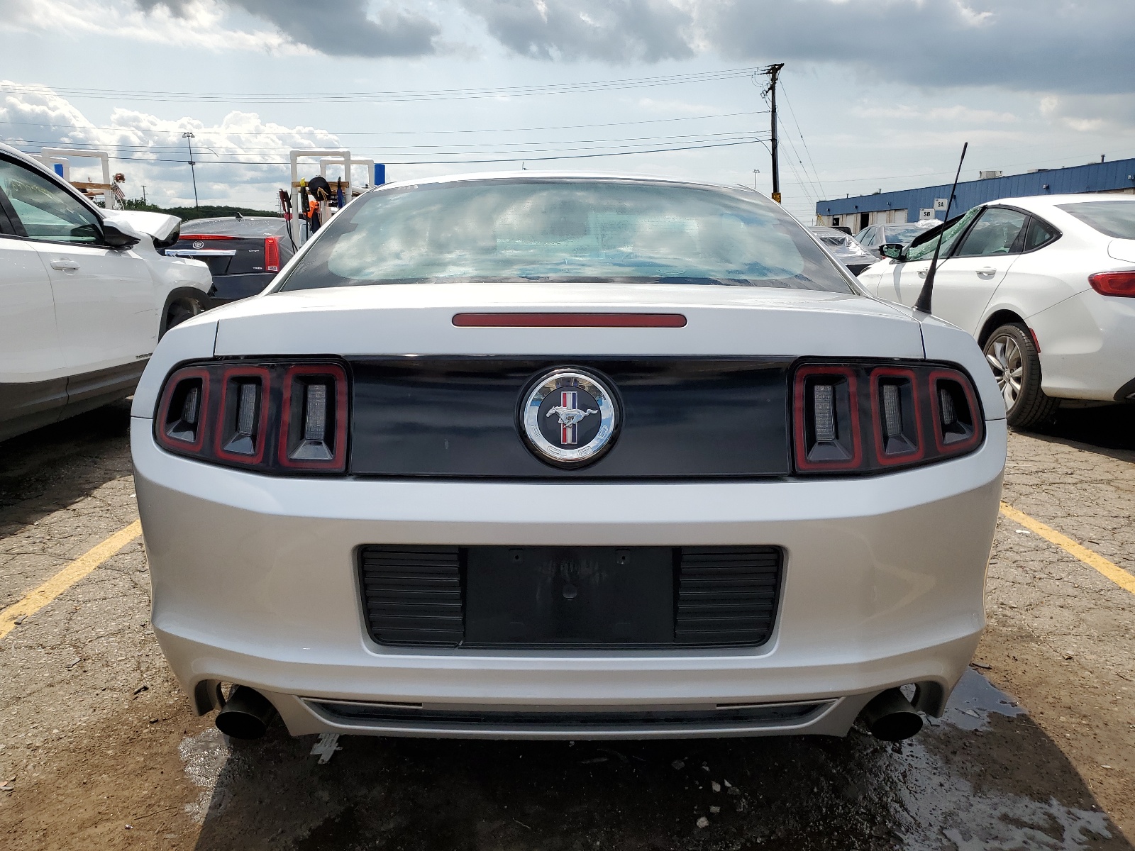 1ZVBP8AM3D5254571 2013 Ford Mustang