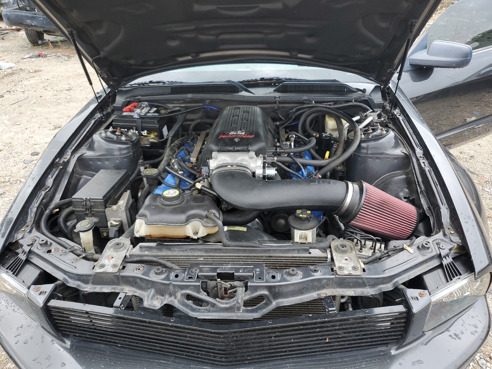 1ZVHT82HX85111288 2008 Ford Mustang Gt