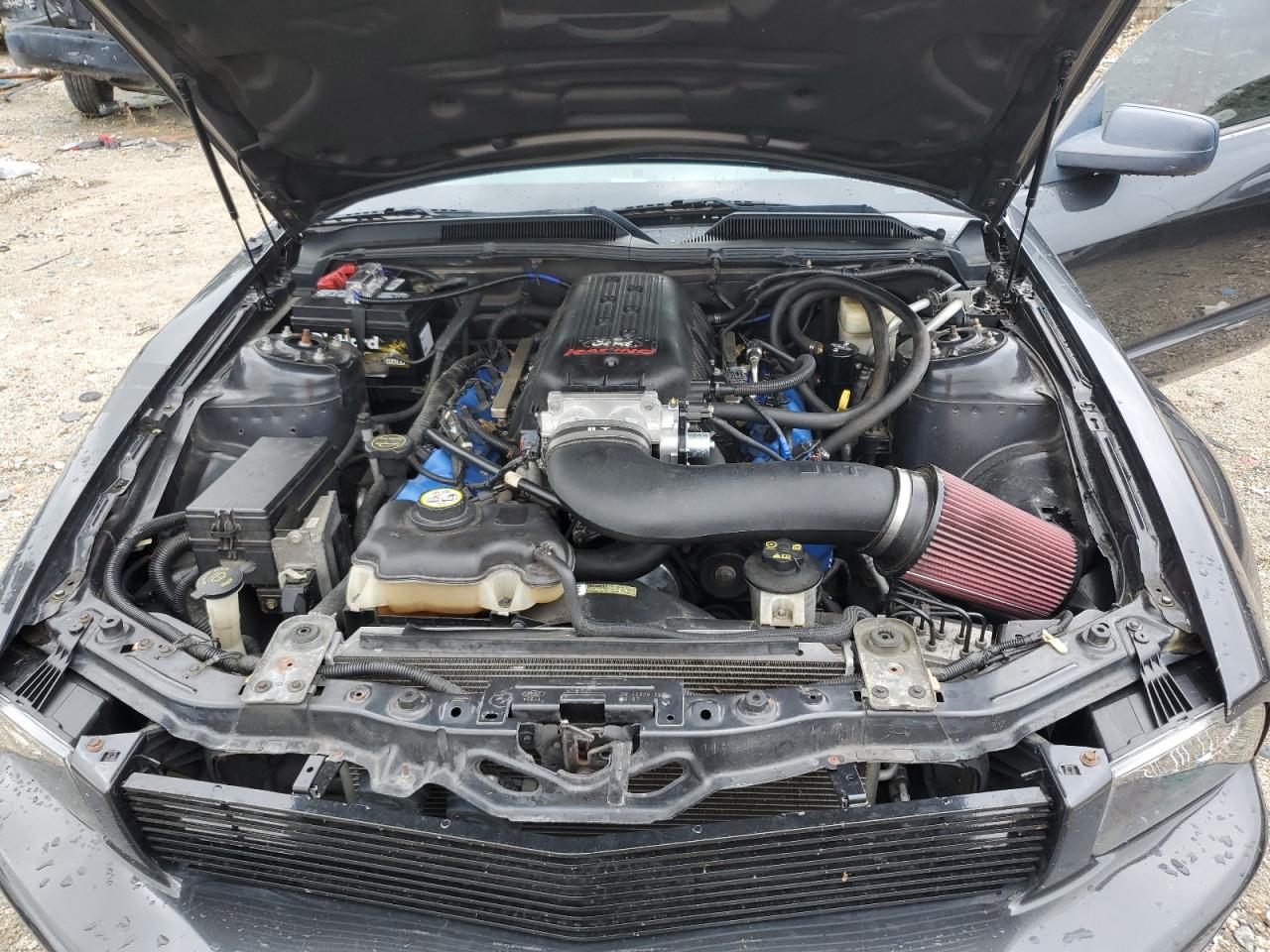 2008 Ford Mustang Gt VIN: 1ZVHT82HX85111288 Lot: 62006324