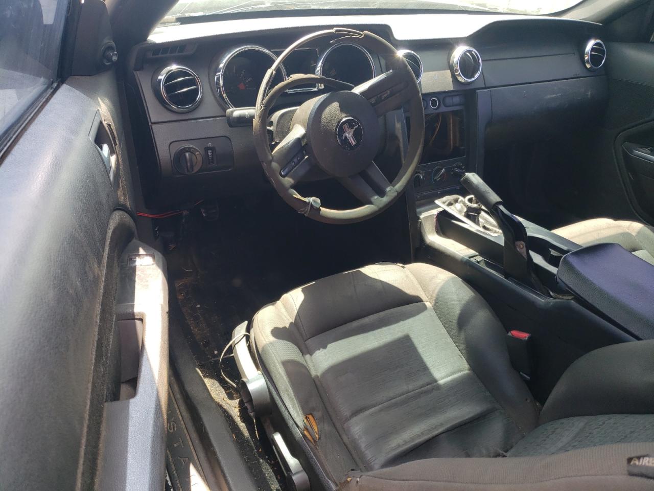 2009 Ford Mustang VIN: 1ZVHT80N095124223 Lot: 63419504