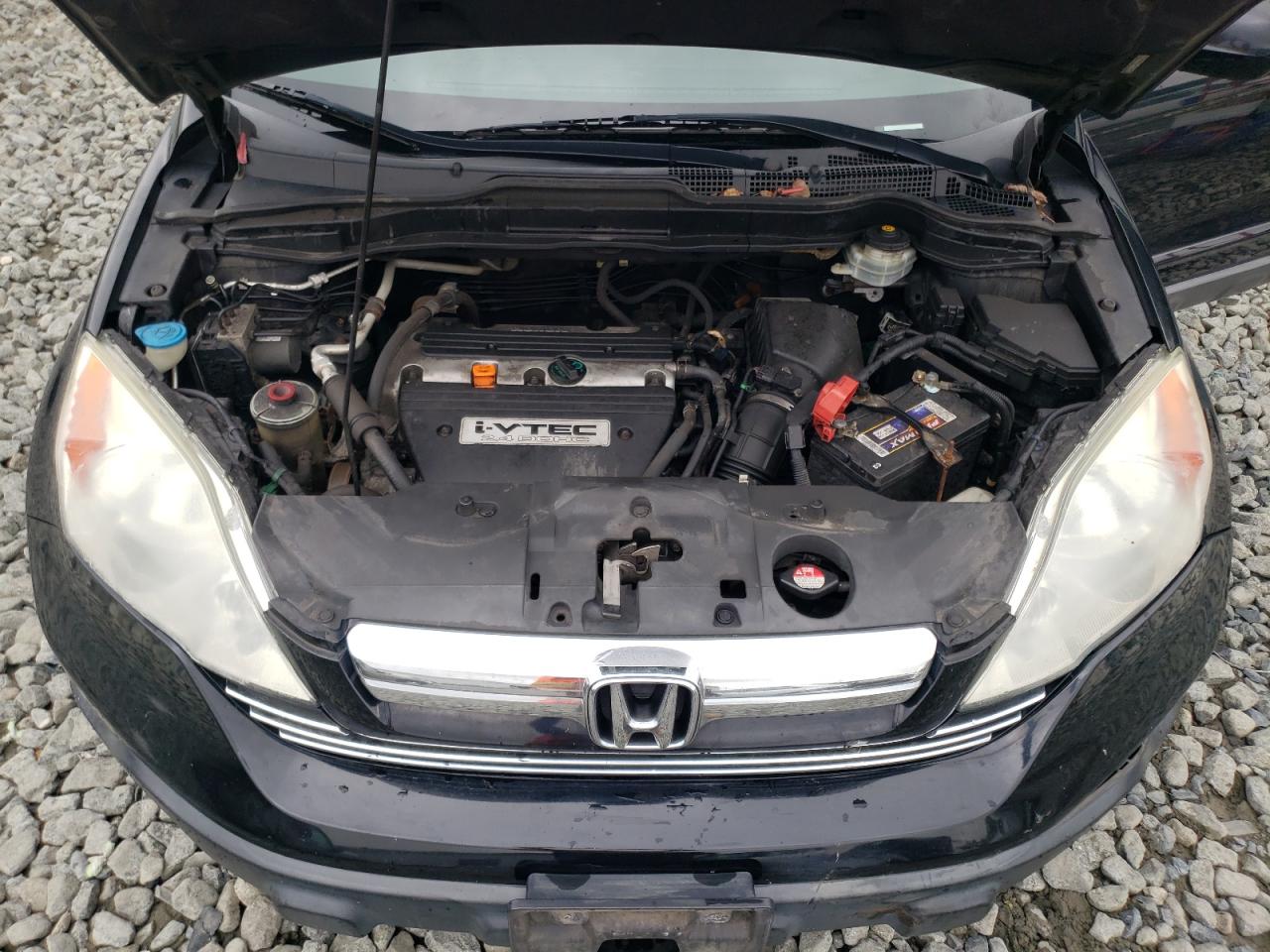 2008 Honda Cr-V Exl VIN: 5J6RE48788L026495 Lot: 64088814