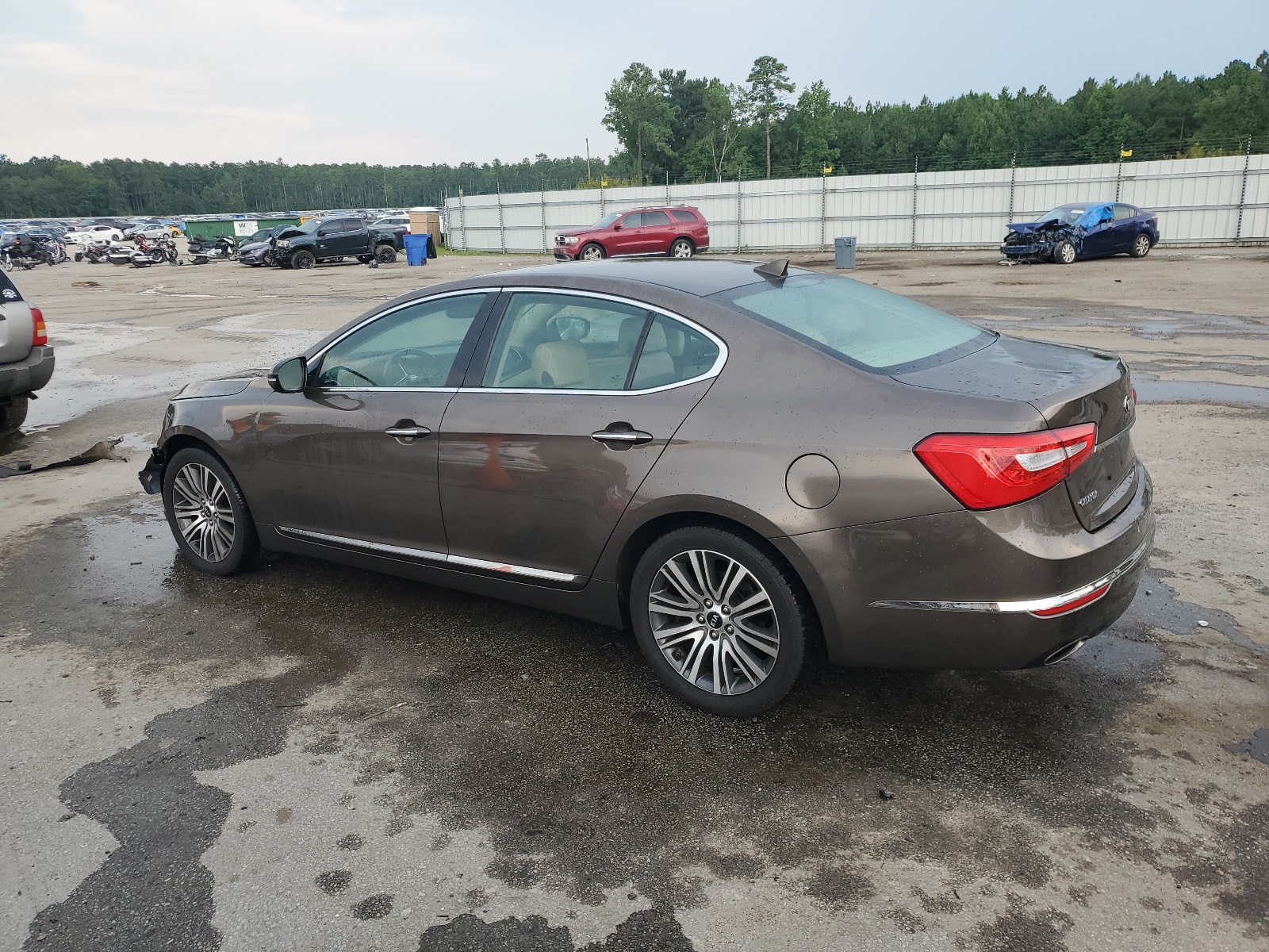 KNALN4D70E5144653 2014 Kia Cadenza Premium