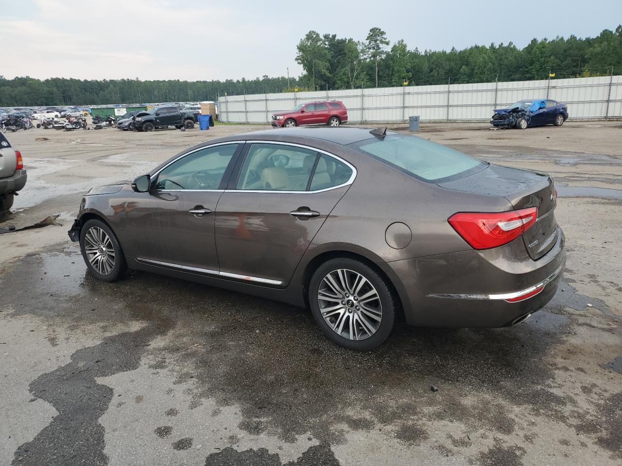 2014 Kia Cadenza Premium VIN: KNALN4D70E5144653 Lot: 63078794