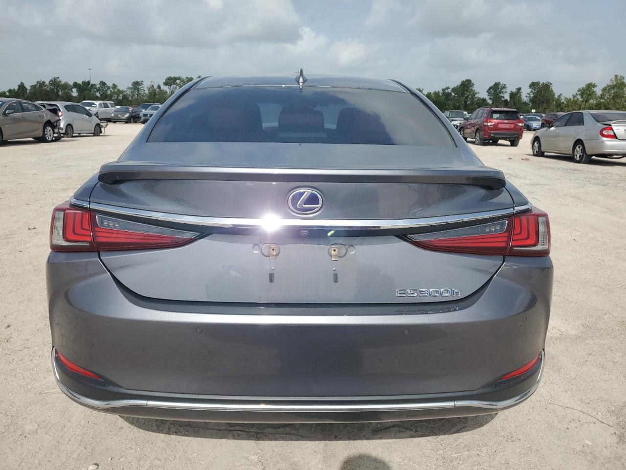 2019 Lexus Es 300H VIN: JTHB21B12K2036938 Lot: 64972274