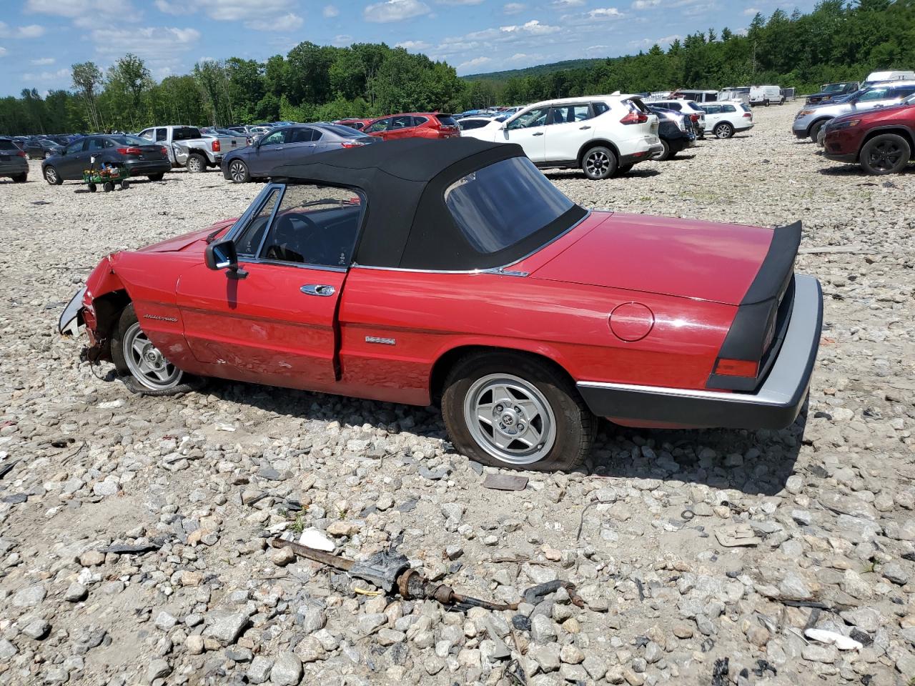 1986 Alfa Romeo Giulia - Image 2