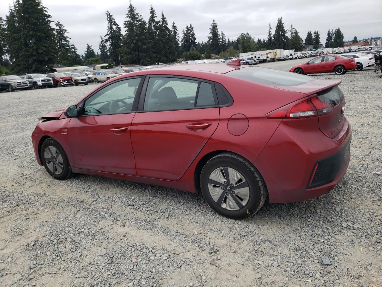 2019 Hyundai Ioniq Blue VIN: KMHC65LC4KU163756 Lot: 64274144