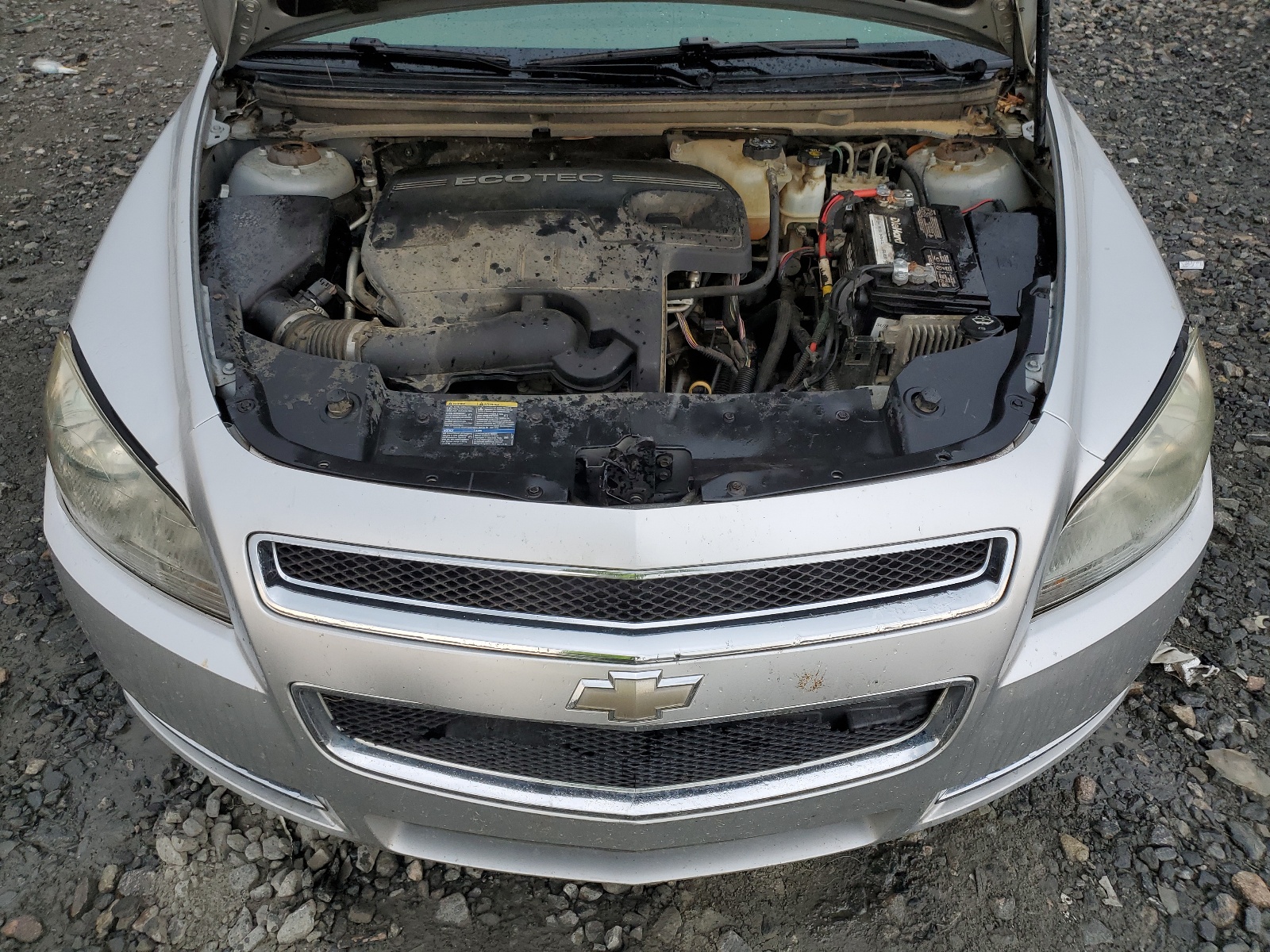 1G1ZH57B494249565 2009 Chevrolet Malibu 1Lt