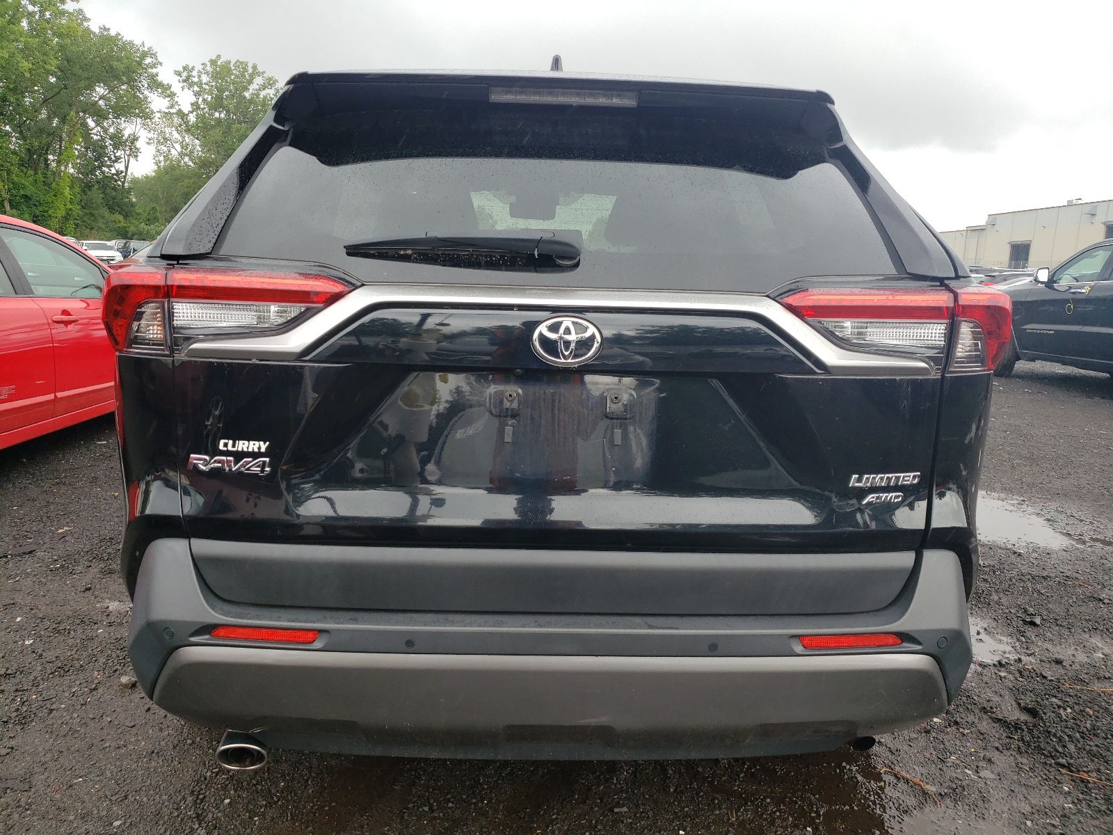 JTMN1RFV9KD507663 2019 Toyota Rav4 Limited