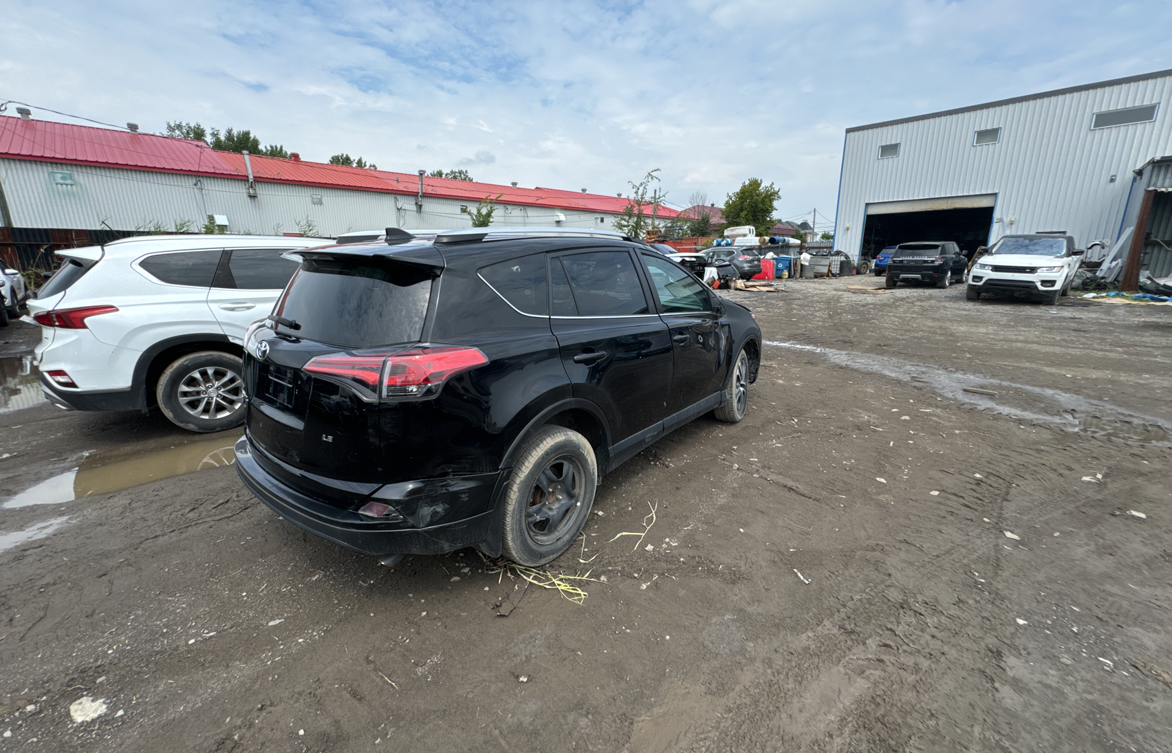 2016 Toyota Rav4 Le vin: 2T3ZFREV7GW243504