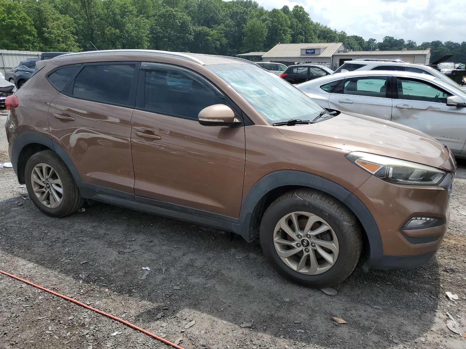 2016 Hyundai Tucson Limited vin: KM8J33A22GU026076