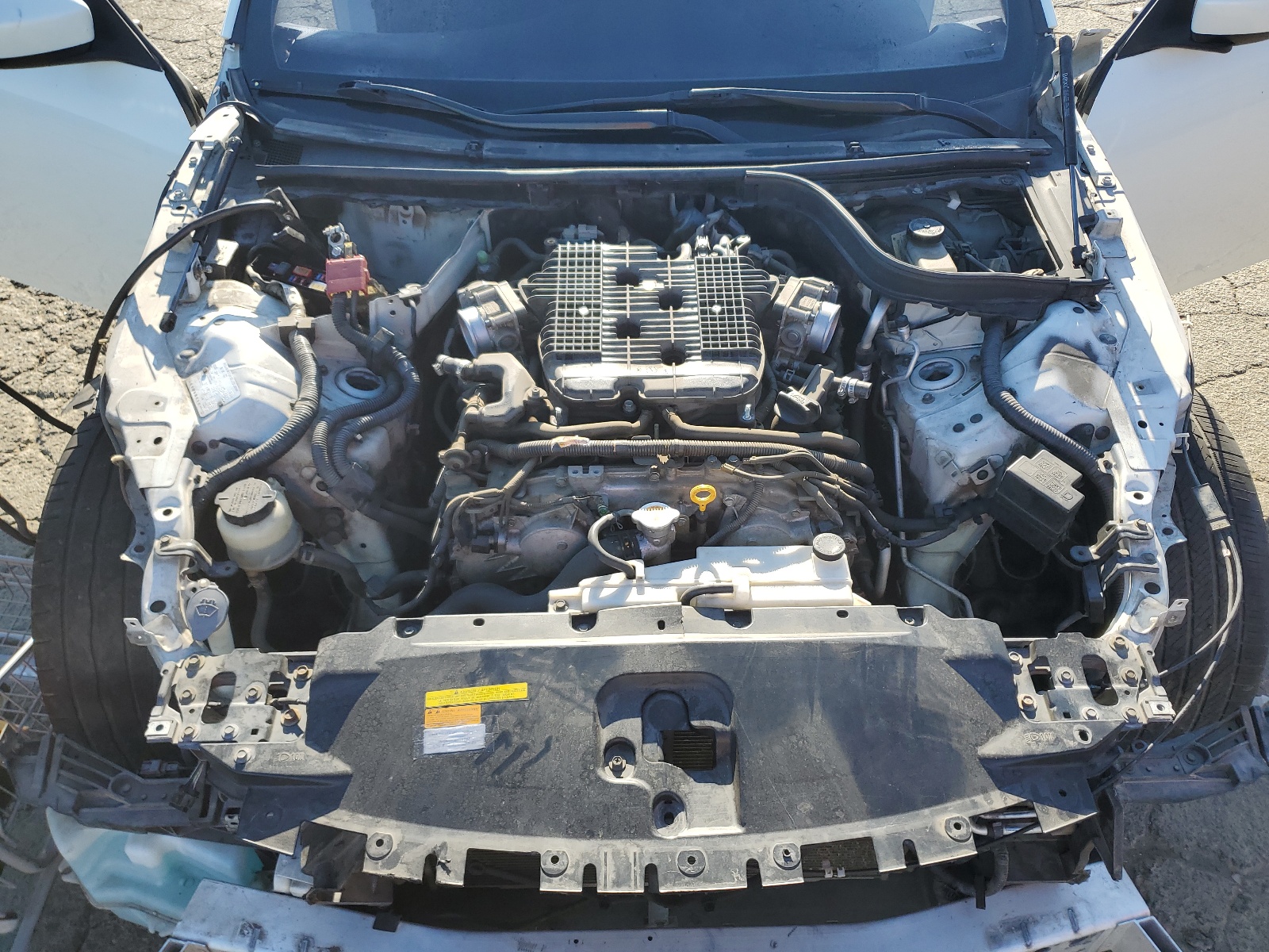 JNKCV64E98M123385 2008 Infiniti G37 Base