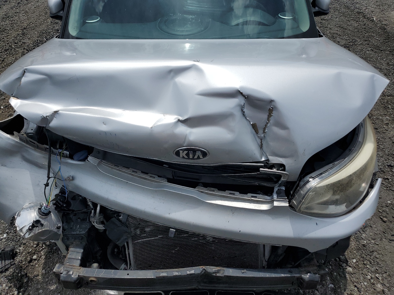 KNDJP3A55G7833709 2016 Kia Soul +