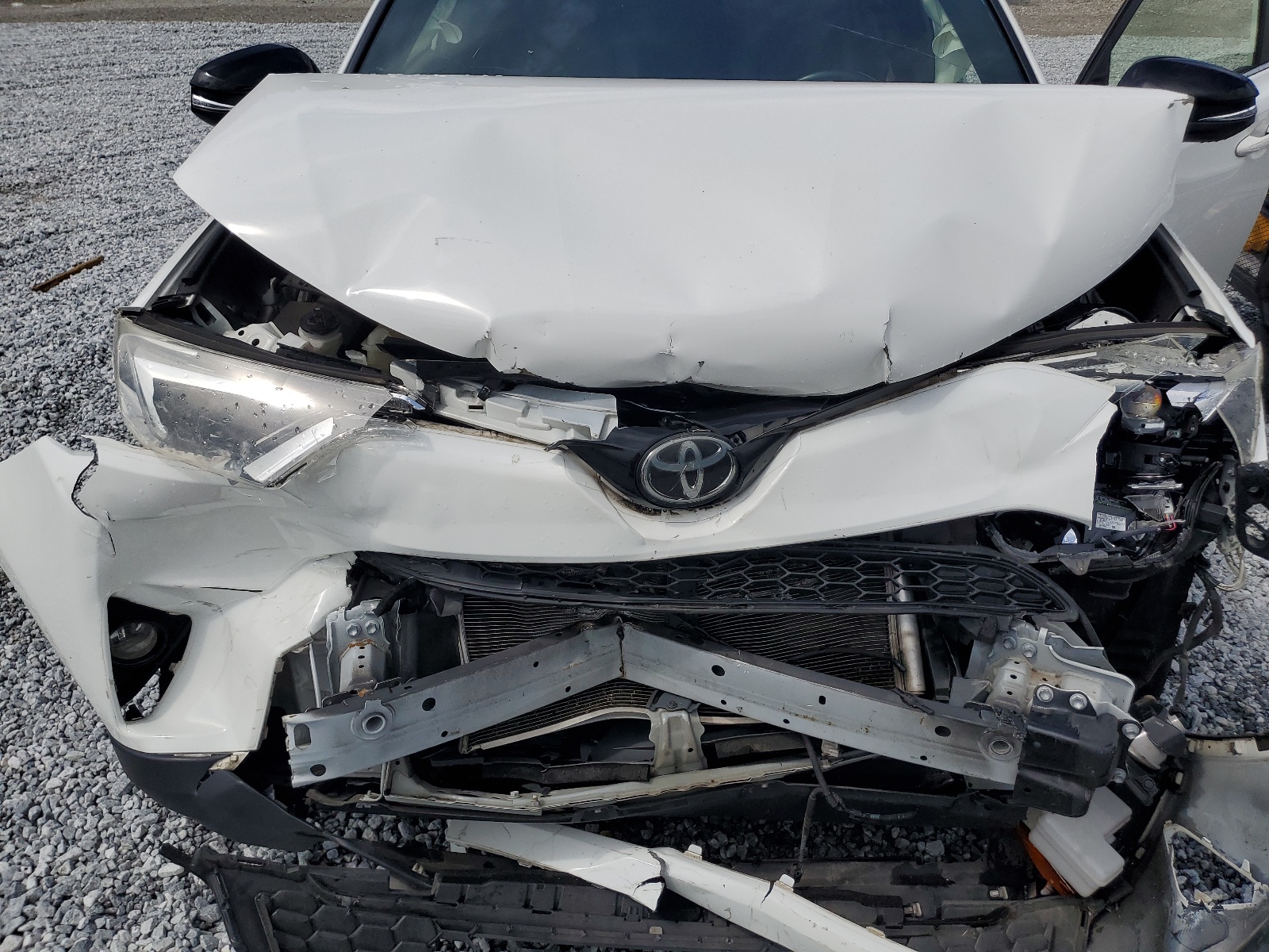 JTMNFREV5HJ702432 2017 Toyota Rav4 Se