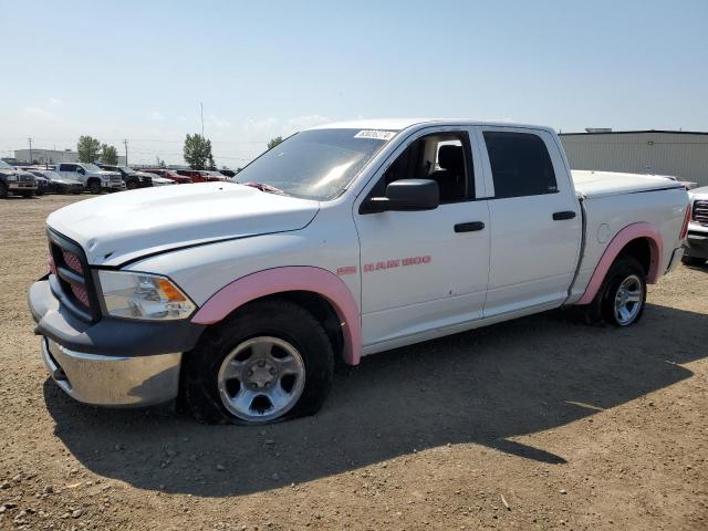 2011 DODGE RAM 1500  for sale at Copart AB - CALGARY