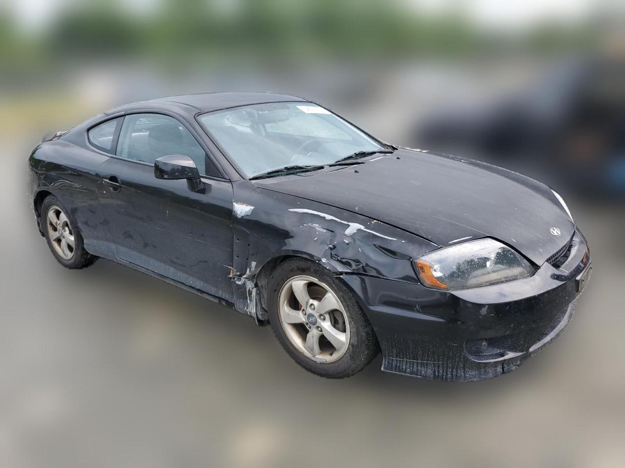 2006 Hyundai Tiburon Gs VIN: KMHHM65D46U189447 Lot: 64821724