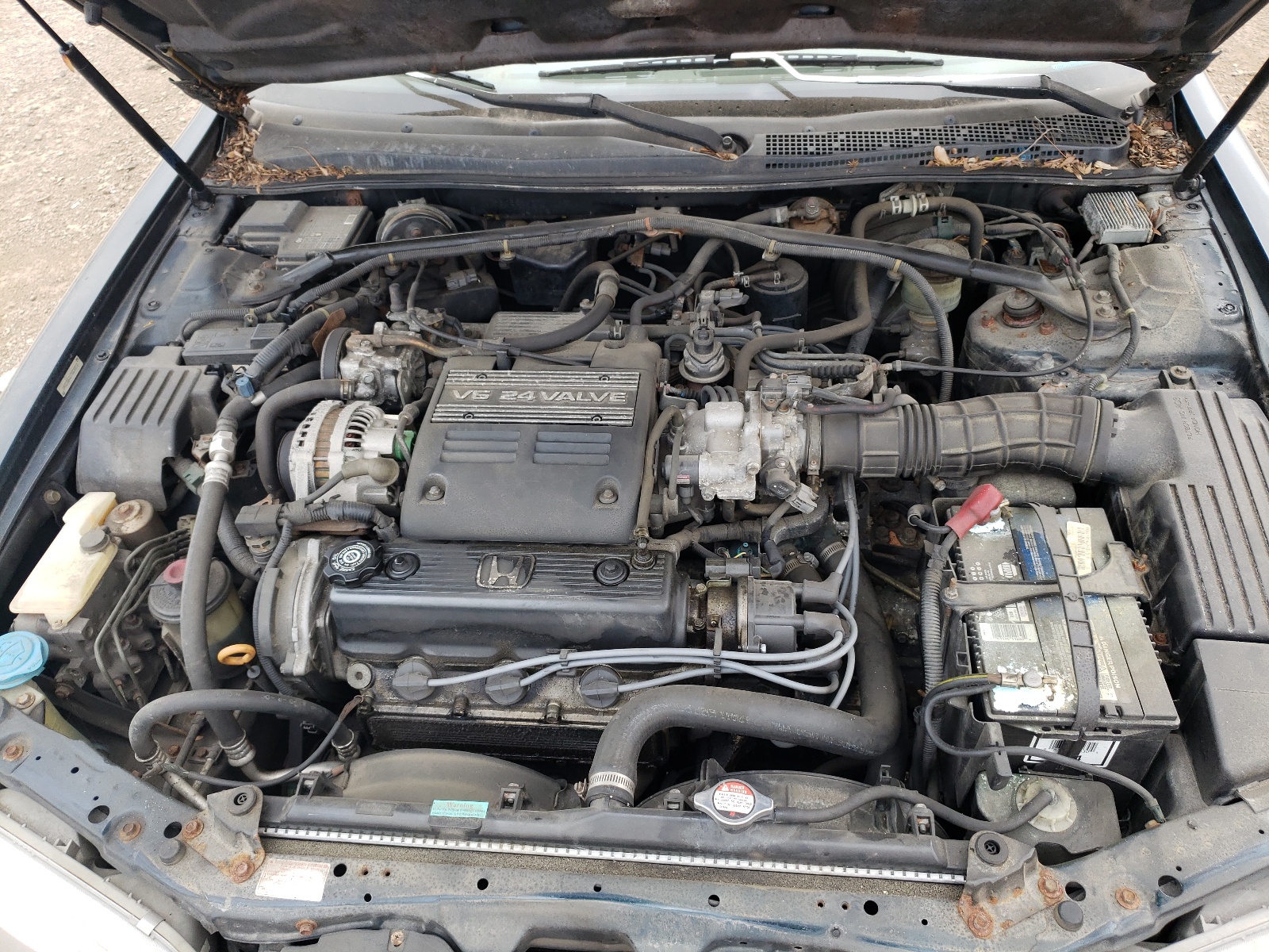 1HGCE6643TA028872 1996 Honda Accord Lx