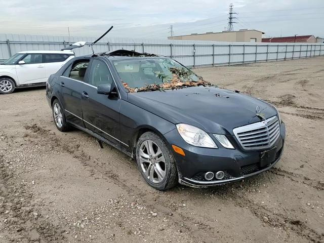 2010 Mercedes-Benz E 350 VIN: WDDHF5GB2AA243977 Lot: 63252784