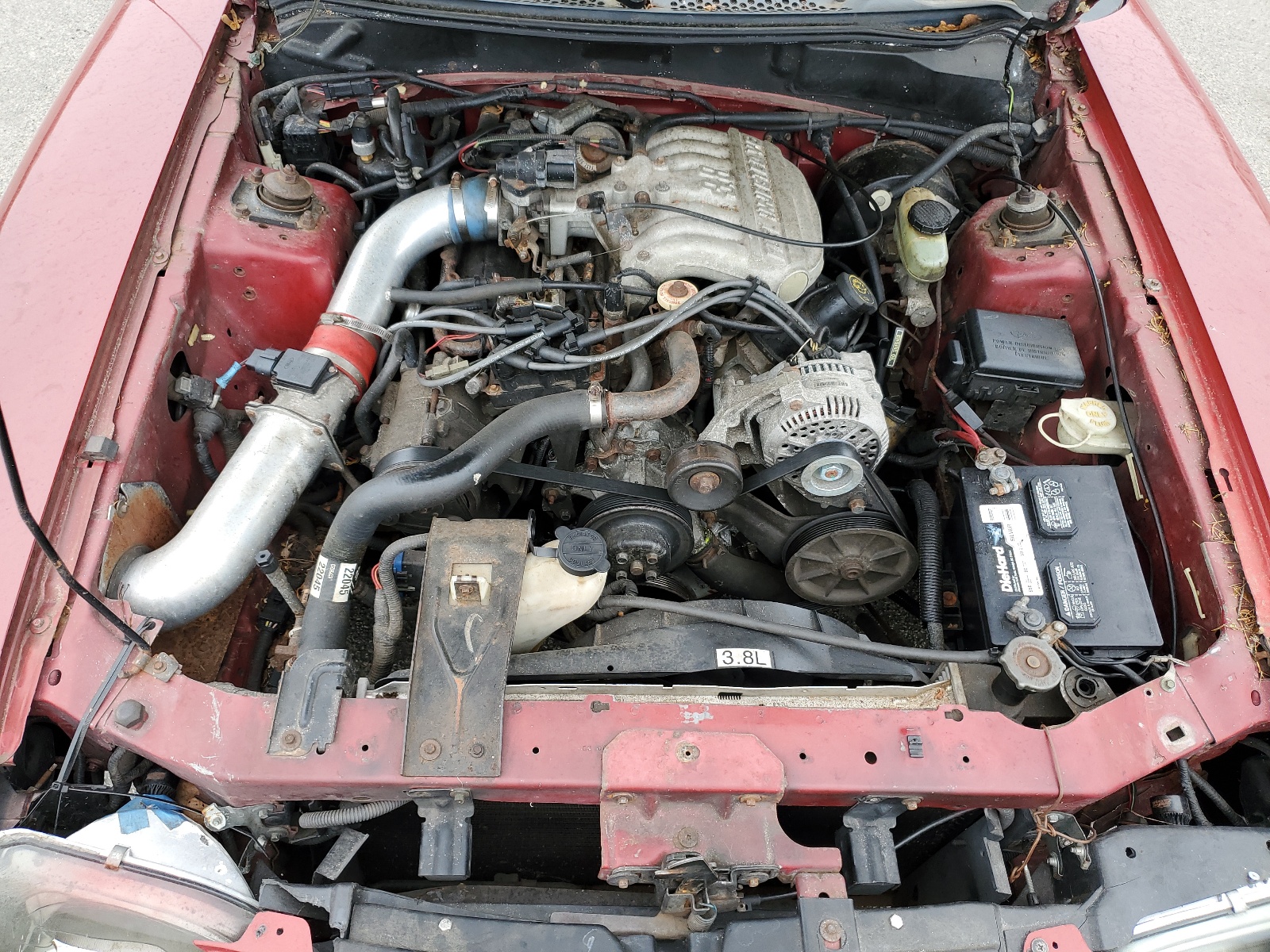 1FALP4043SF222346 1995 Ford Mustang