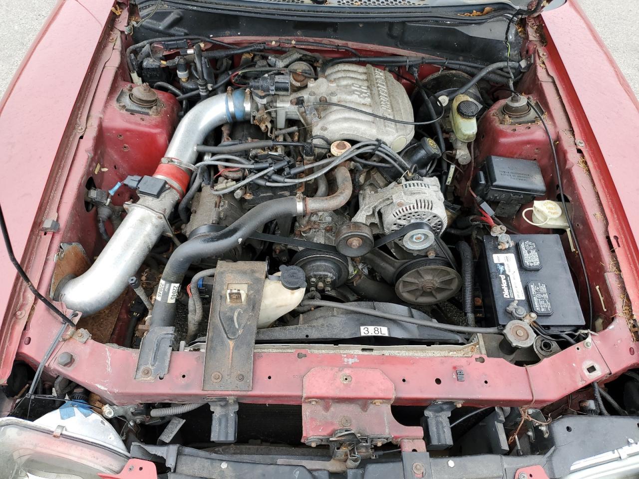 1995 Ford Mustang VIN: 1FALP4043SF222346 Lot: 62357634