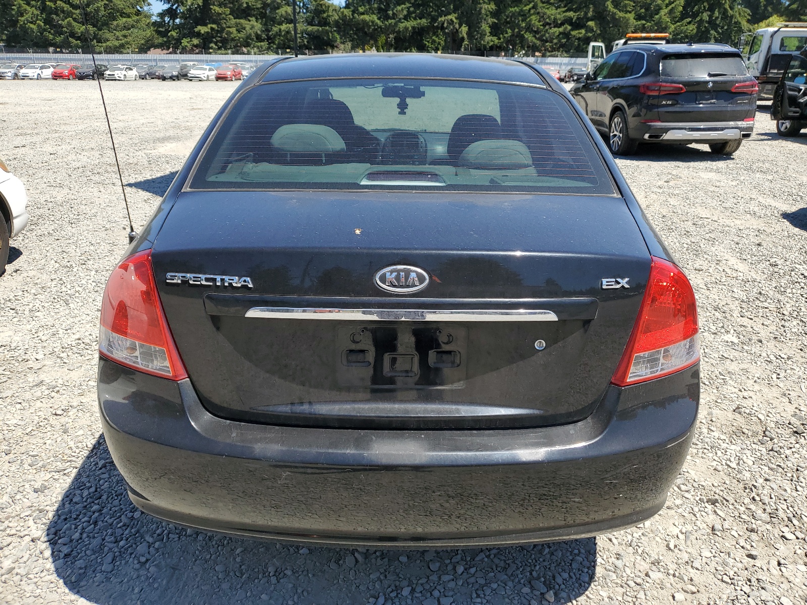 KNAFE222195619130 2009 Kia Spectra Ex