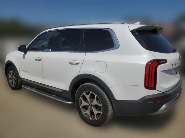  KIA TELLURIDE 2020 Белый