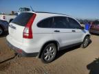 2009 Honda Cr-V Ex на продаже в Brighton, CO - Hail