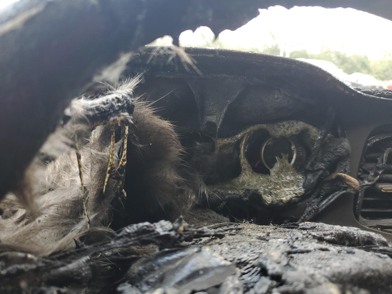 2016 Dodge Challenger R/T VIN: 2C3CDZBT2GH102715 Lot: 61282334