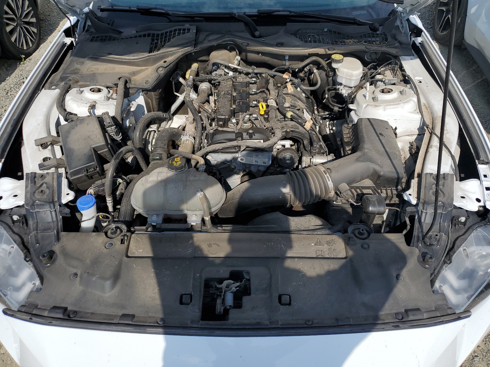 1FA6P8TH7N5105690 2022 Ford Mustang