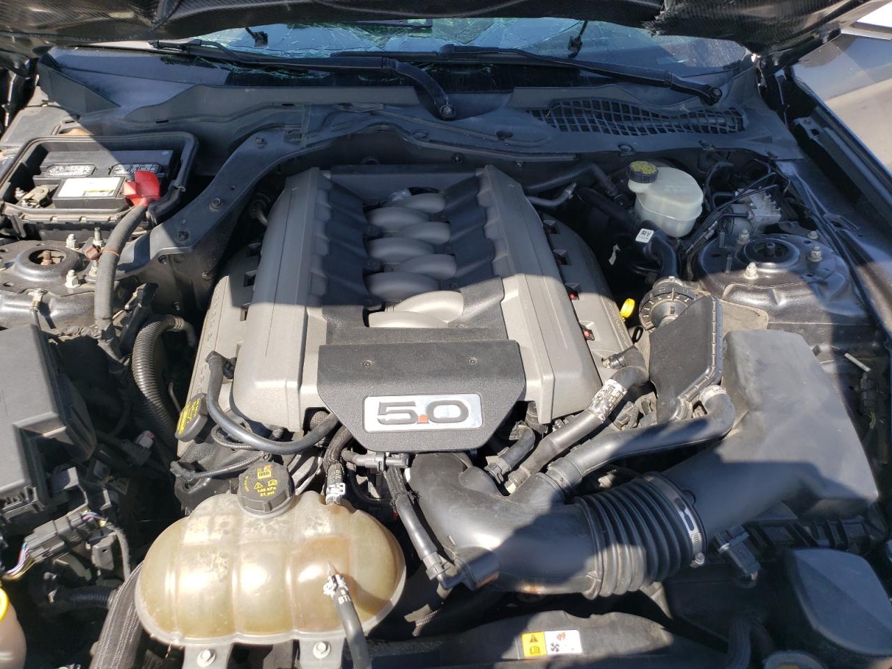 2015 Ford Mustang Gt VIN: 1FA6P8CF4F5337079 Lot: 65326184