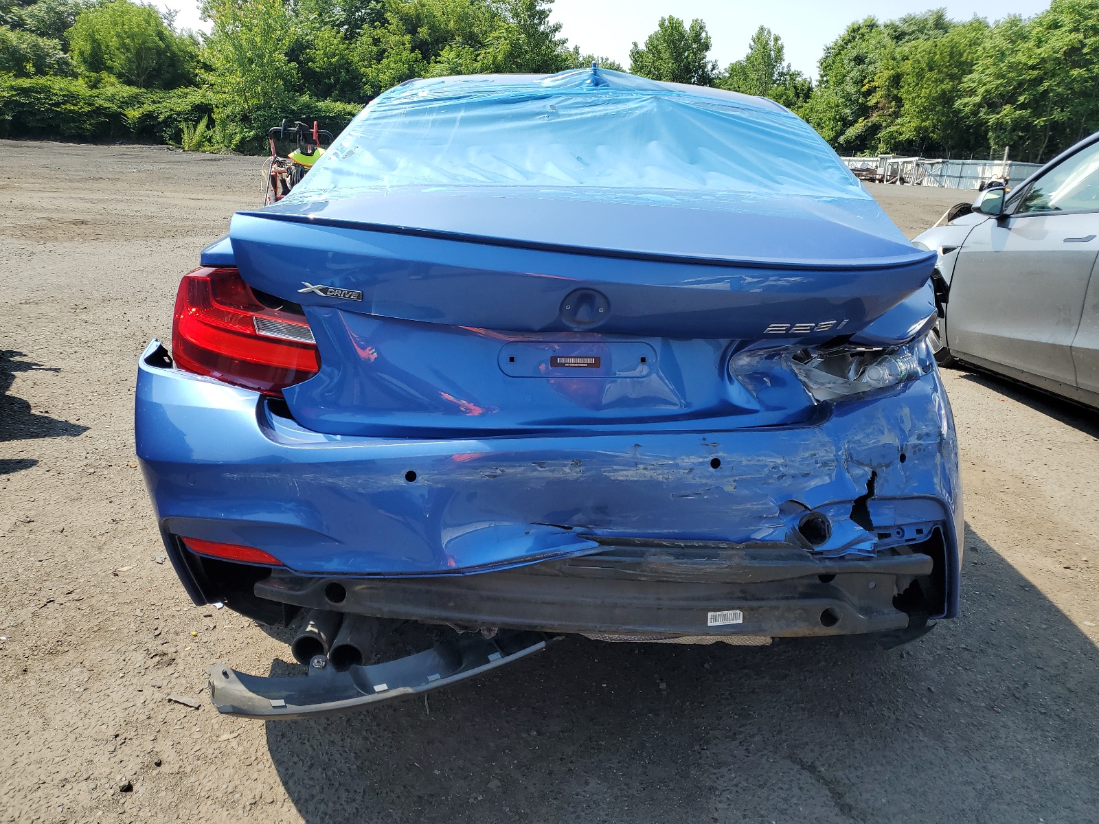 WBA1G9C59FVX96655 2015 BMW 228 Xi Sulev