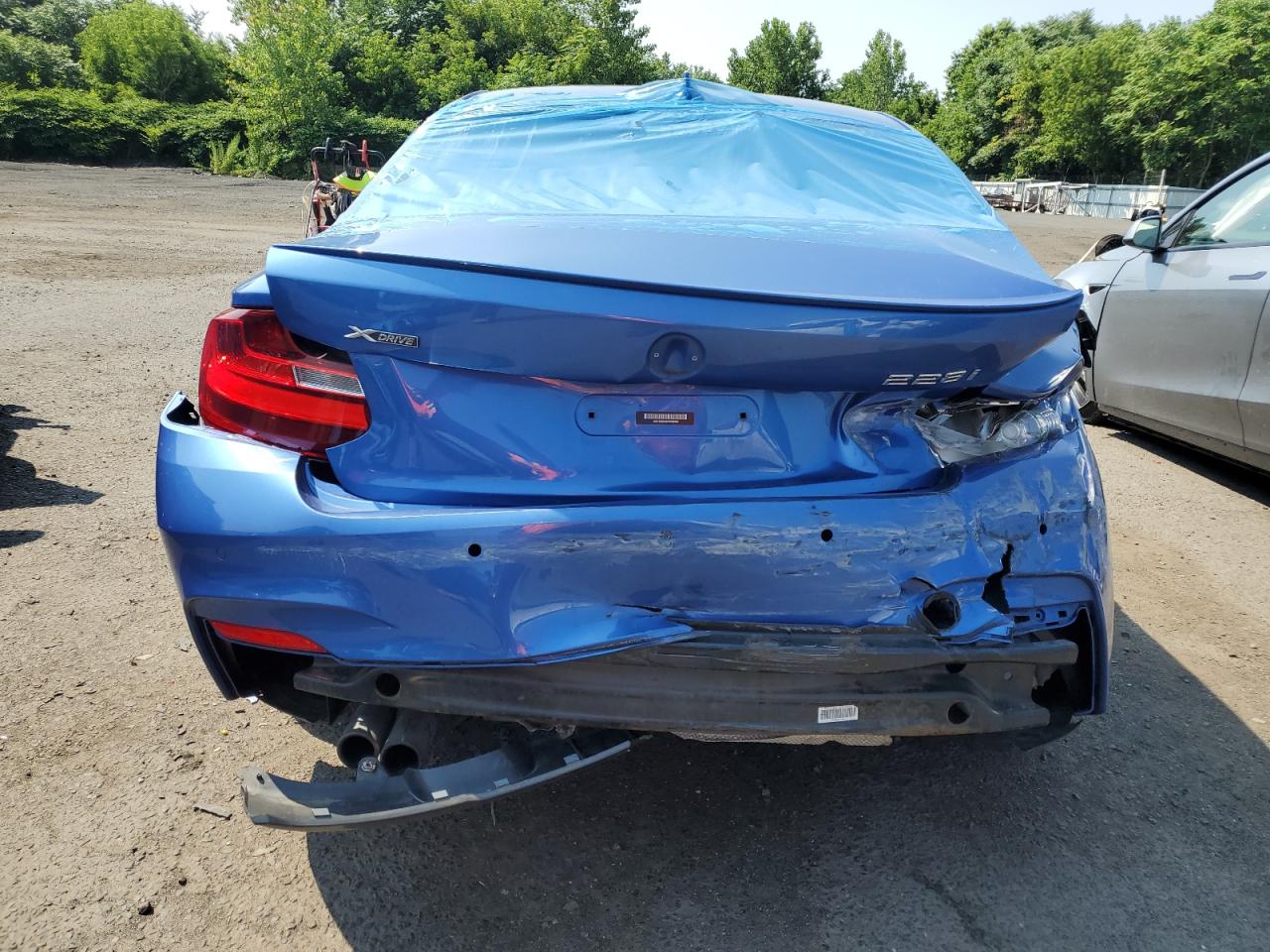 2015 BMW 228 Xi Sulev VIN: WBA1G9C59FVX96655 Lot: 62536094