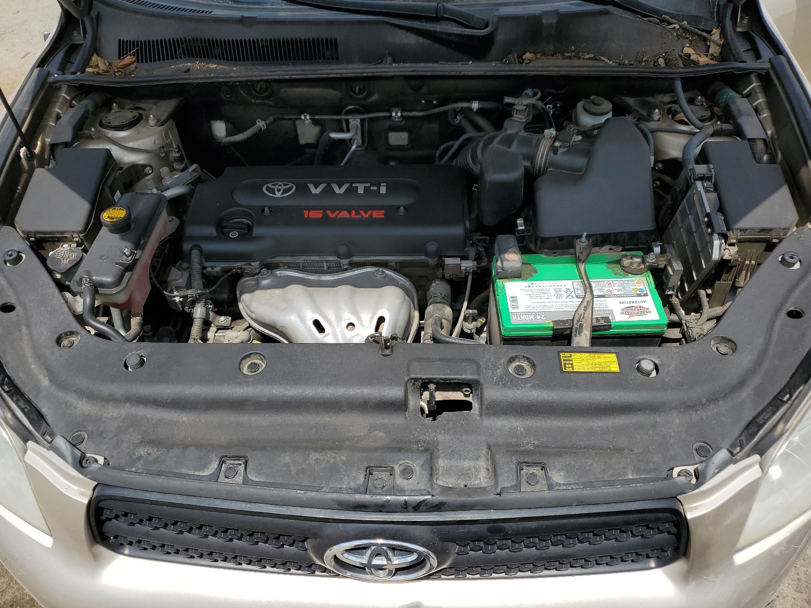 JTMZD33V686056943 2008 Toyota Rav4
