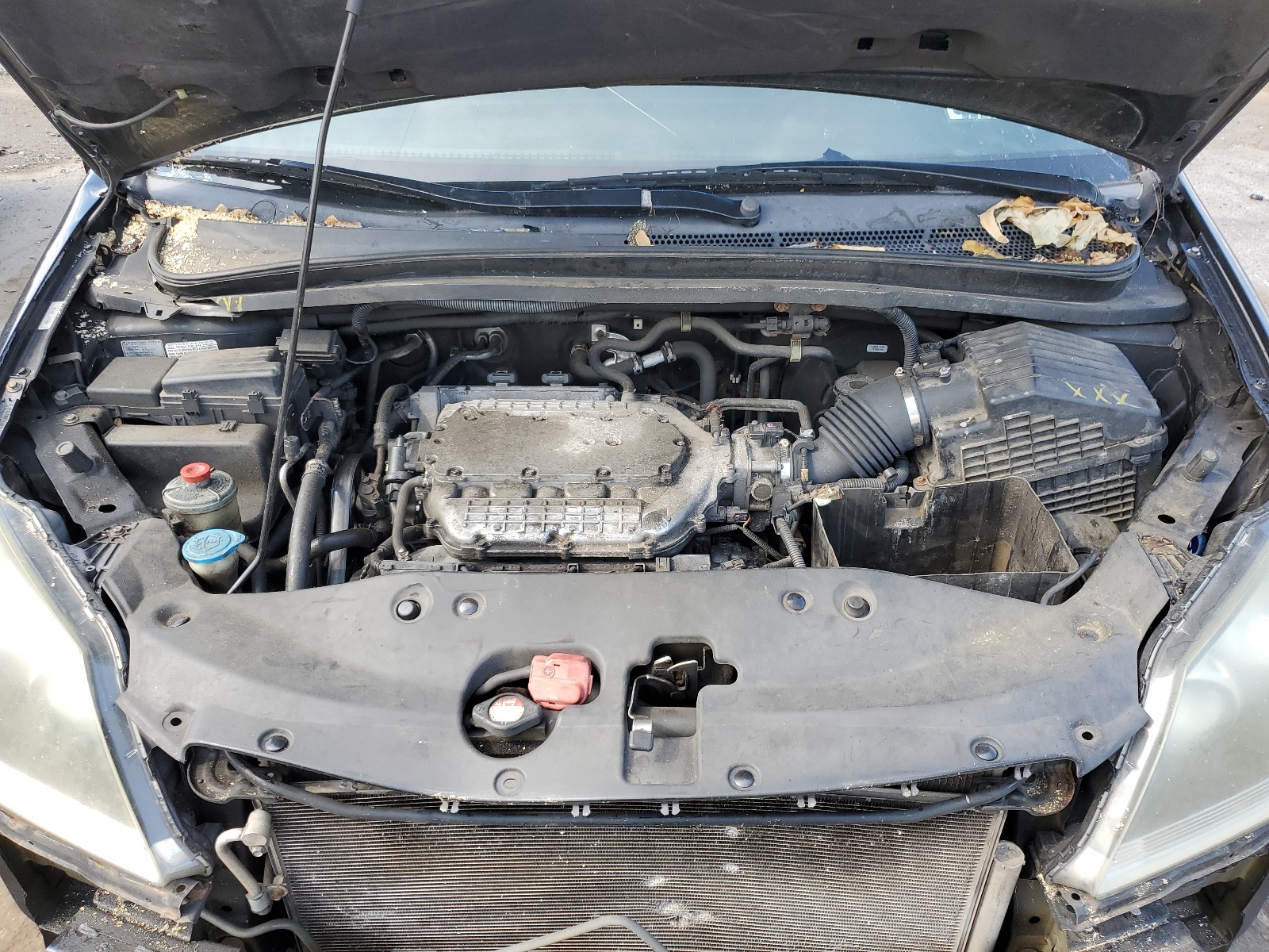 5FNRL38737B125958 2007 Honda Odyssey Exl