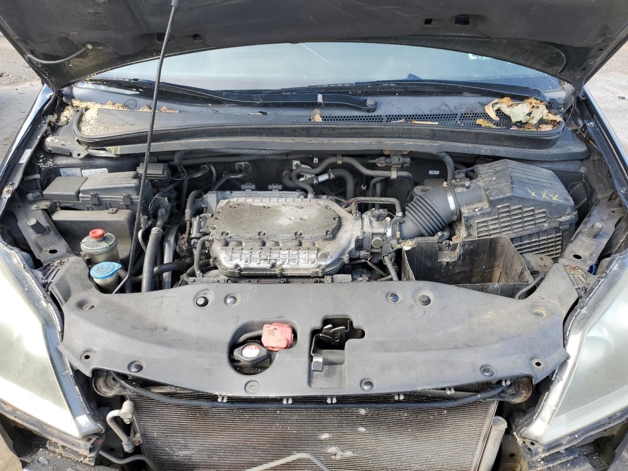 2007 Honda Odyssey Exl VIN: 5FNRL38737B125958 Lot: 61758584